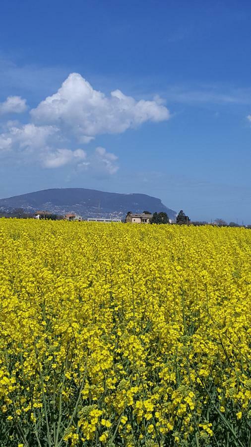 Villetta Del Conero Porto Recanati Dış mekan fotoğraf