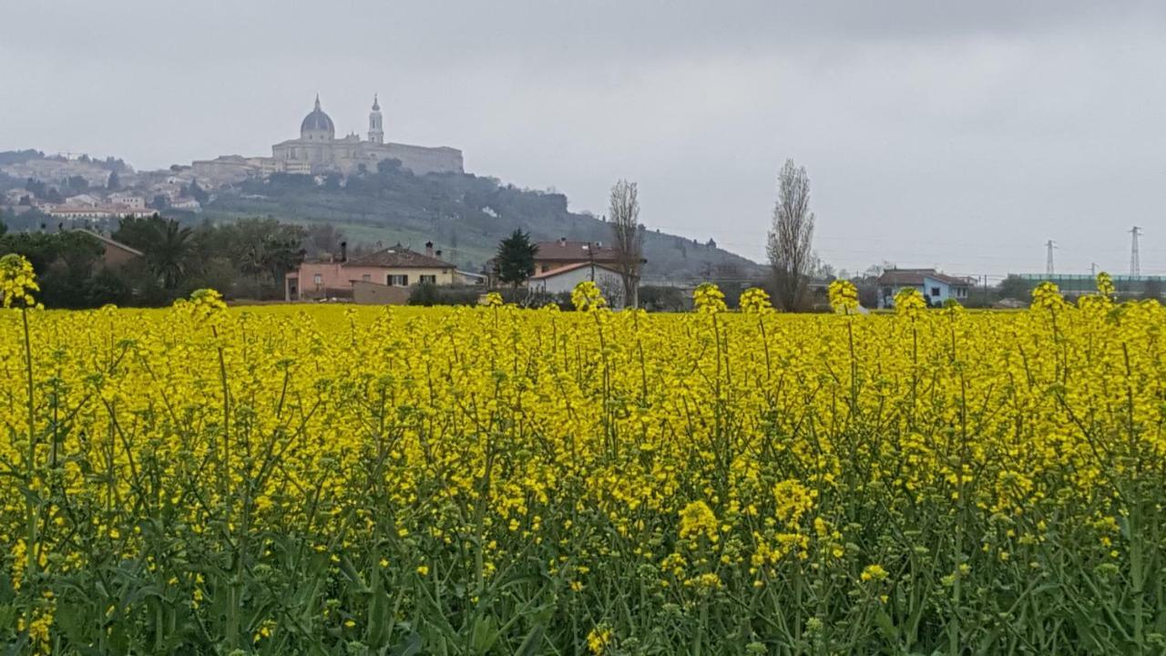 Villetta Del Conero Porto Recanati Dış mekan fotoğraf